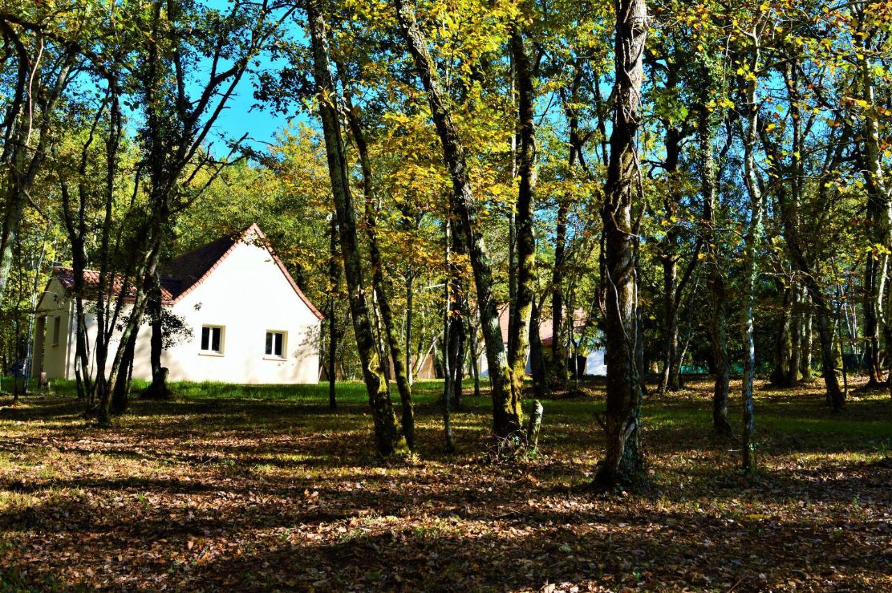 Gite Spa & Nature Saint-Chamassy Exterior foto