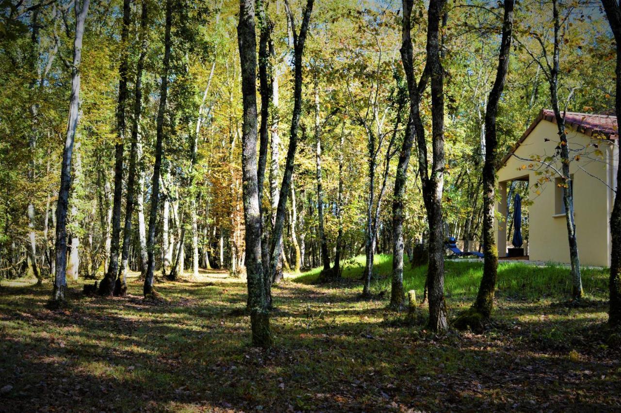 Gite Spa & Nature Saint-Chamassy Exterior foto